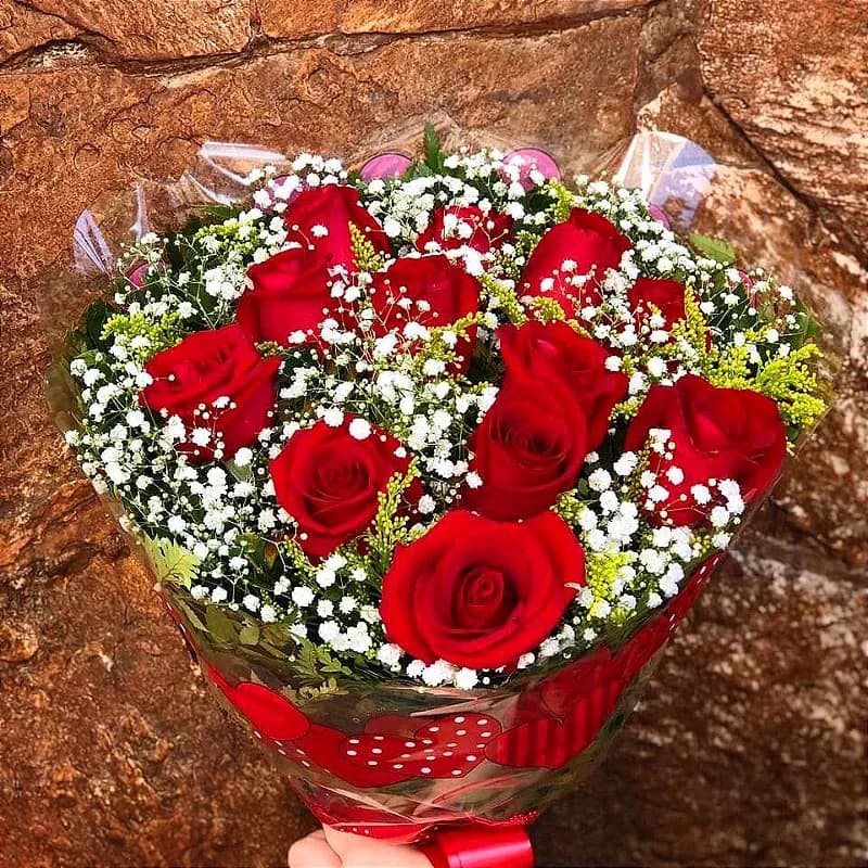 Buque com 12 unidades de rosas vermelhas